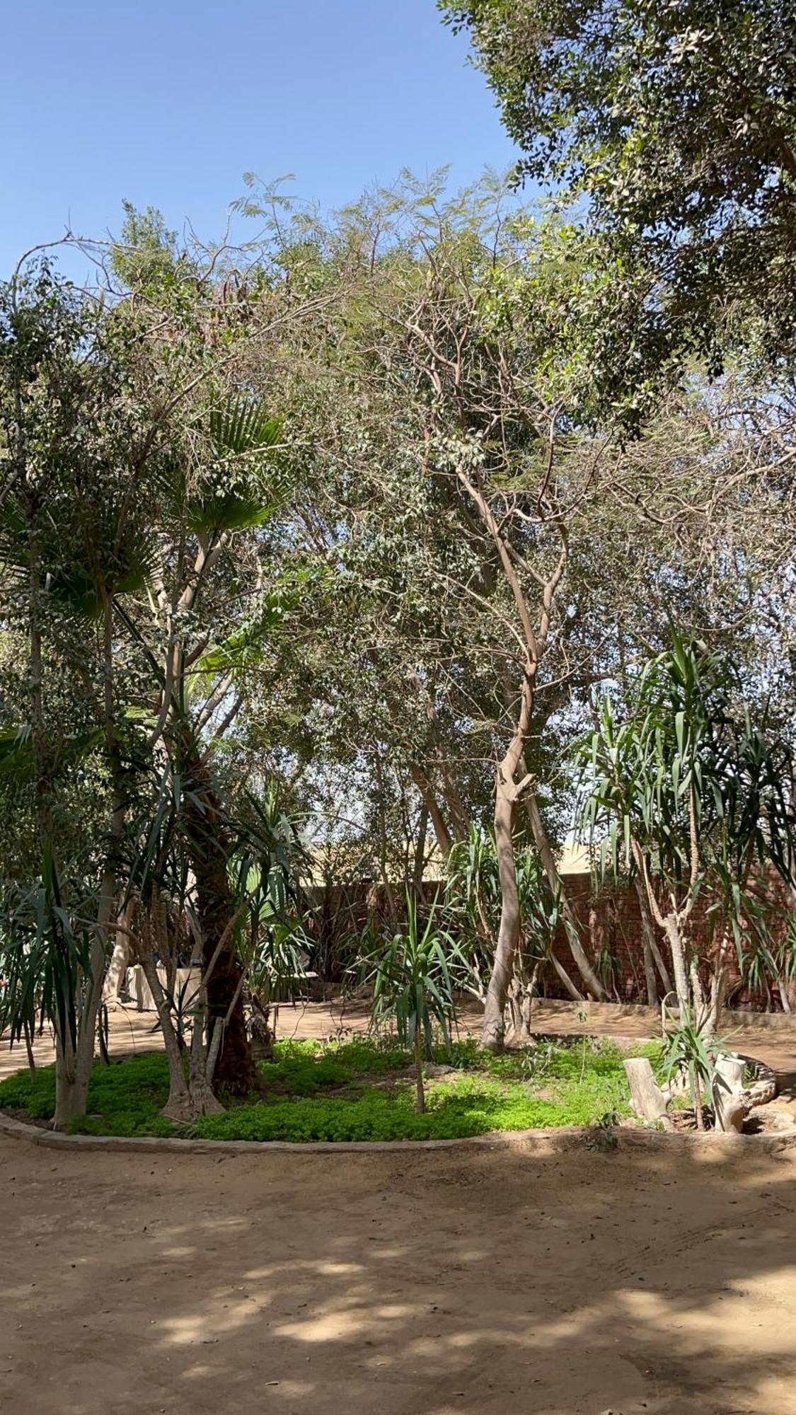 Villa By The Pyramids Kahire Dış mekan fotoğraf