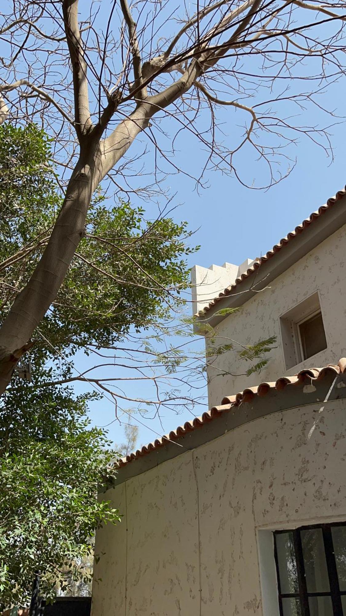 Villa By The Pyramids Kahire Dış mekan fotoğraf